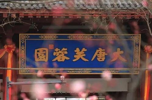 西安大唐爆料最新消息,揭秘古都历史新发现
