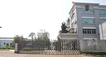 鼎盛园区最新爆料,揭秘未来科技巨头崛起之路