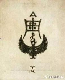 周姓最新爆料人是谁,揭秘神秘爆料人身份之谜